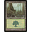 Magic: The Gathering Forest (348) Lightly Played