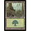 Magic: The Gathering Forest (348) Moderately Played