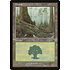 Magic: The Gathering Forest (348) Moderately Played