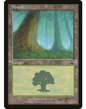 Magic: The Gathering Forest (347) Moderately Played