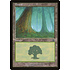 Magic: The Gathering Forest (347) Moderately Played