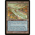Magic: The Gathering Saprazzan Cove (327) Heavily Played