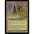 Magic: The Gathering Rushwood Grove (325) Moderately Played
