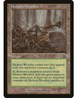 Magic: The Gathering Hickory Woodlot (319) Heavily Played