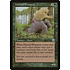 Magic: The Gathering Hunted Wumpus (253) Moderately Played