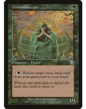 Magic: The Gathering Groundskeeper (250) Moderately Played