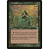 Magic: The Gathering Groundskeeper (250) Moderately Played