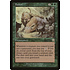Magic: The Gathering Foster (247) Heavily Played