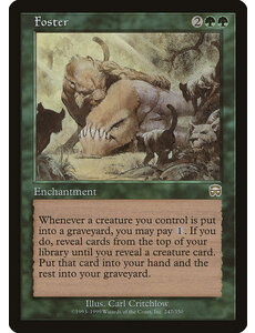 Magic: The Gathering Foster (247) Lightly Played