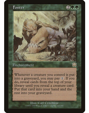 Magic: The Gathering Foster (247) Lightly Played