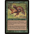 Magic: The Gathering Deepwood Wolverine (242) Moderately Played