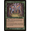 Magic: The Gathering Deepwood Elder (240) Lightly Played