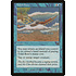 Magic: The Gathering Tidal Bore (109) Heavily Played