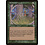 Magic: The Gathering Rushwood Legate (266) Moderately Played