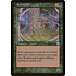 Magic: The Gathering Rushwood Legate (266) Moderately Played