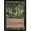 Magic: The Gathering Rushwood Elemental (264) Moderately Played