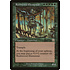 Magic: The Gathering Rushwood Elemental (264) Moderately Played