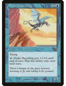 Magic: The Gathering Drake Hatchling (076) Heavily Played