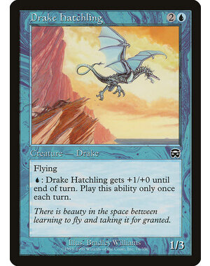 Magic: The Gathering Drake Hatchling (076) Moderately Played
