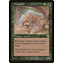 Magic: The Gathering Pangosaur (261) Lightly Played