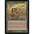 Magic: The Gathering Natural Affinity (260) Moderately Played