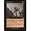 Magic: The Gathering Ghoul's Feast (137) Lightly Played