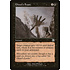 Magic: The Gathering Ghoul's Feast (137) Lightly Played