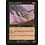 Magic: The Gathering Deepwood Ghoul (131) Moderately Played