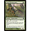 Magic: The Gathering Citanul Woodreaders (140) Moderately Played Foil