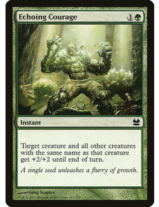 Magic: The Gathering Echoing Courage (143) Lightly Played Foil