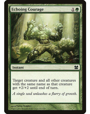 Magic: The Gathering Echoing Courage (143) Lightly Played Foil