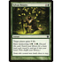 Magic: The Gathering Sylvan Bounty (165) Lightly Played