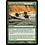 Magic: The Gathering Tromp the Domains (171) Lightly Played