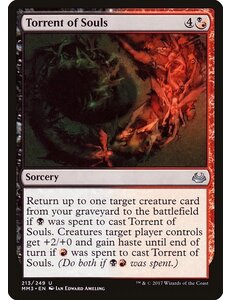 Magic: The Gathering Torrent of Souls (213) Near Mint