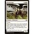 Magic: The Gathering Flickerwisp (006) Lightly Played