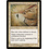 Magic: The Gathering Dazzling Beauty (008) Lightly Played