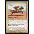 Magic: The Gathering Femeref Knight (018) Heavily Played