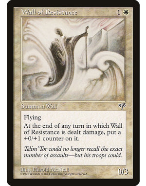 Magic: The Gathering Wall of Resistance (046) Heavily Played