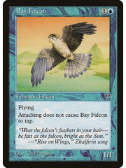 Magic: The Gathering Bay Falcon (054) Heavily Played