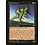 Magic: The Gathering Fetid Horror (123) Lightly Played