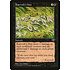 Magic: The Gathering Kaervek's Hex (130) Lightly Played