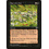 Magic: The Gathering Kaervek's Hex (130) Moderately Played