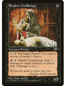 Magic: The Gathering Shadow Guildmage (140) Lightly Played