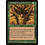 Magic: The Gathering Armor of Thorns (206) Heavily Played