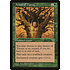Magic: The Gathering Armor of Thorns (206) Moderately Played