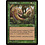 Magic: The Gathering Jungle Wurm (224) Heavily Played
