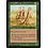 Magic: The Gathering Karoo Meerkat (225) Moderately Played