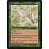 Magic: The Gathering Locust Swarm (226) Moderately Played