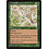 Magic: The Gathering Locust Swarm (226) Lightly Played