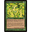 Magic: The Gathering Nettletooth Djinn (232) Lightly Played